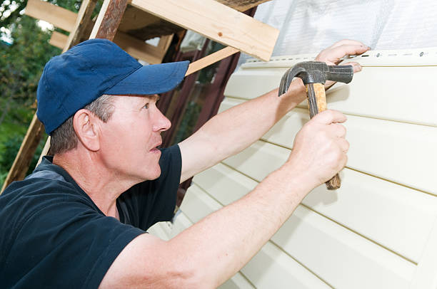 Best Custom Trim and Detailing for Siding  in High Springs, FL